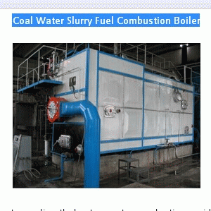 Coal Water Slurry Fuel Combustion Boiler